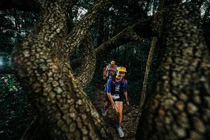 BIB: 
                            <button type="button" onclick="openModal(25693545)" class="btn btn-primary btn-sm float-right btn-popup" data-toggle="modal" data-target=".modal-high-quality">
                        <i class="fas fa-shopping-cart"></i> Add to Cart
                    </button>
                                            <button type="button" onclick="isThisMe(25693545, true)" class="btn btn-success btn-sm float-right btn-popup btn-isme hidden" data-toggle="tooltip" data-placement="bottom" title="นี่คือรูปของคุณใช่ไหม คลิกที่นี่เพื่อเอาเข้าอัลบั้ม">
                        <i class="fas fa-plus"></i> Add to album
                    </button>
                    <button type="button" onclick="isThisMe(25693545, false)" class="btn btn-warning btn-sm float-right btn-popup btn-isnotme hidden">
                        <i class="fas fa-ban"></i> Remove from album
                    </button>